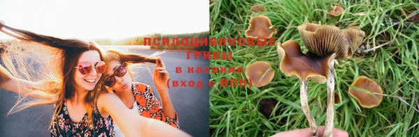 твердый Балабаново